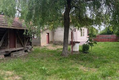 Casă cu 3 camere cu Teren 2775 Mp în Cornățelu - 2