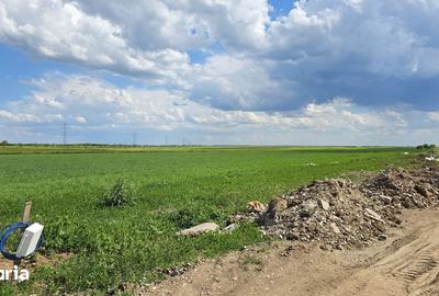 Teren de 9600 mp, în Niculești - 4