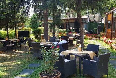 Spatiu  comercial -Parc Herastrau - 6