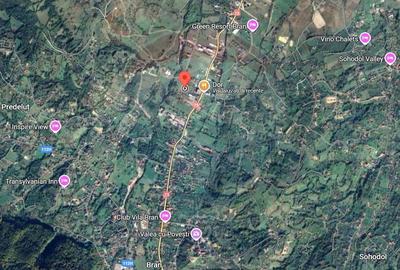 Teren Intravilan in Zarnesti / Soseaua Branului - 7