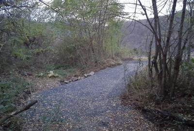 Spațiu comercial, în Cozia - 6