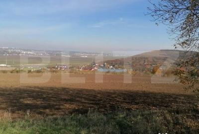 Teren de 5000 mp, în Central - 3