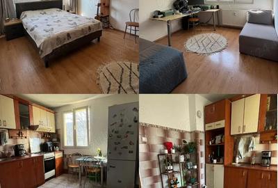 Apartament cu 2 camere decomandat în Ozana - 1