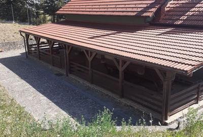 Casă cu 6 camere decomandat cu Teren 19200 Mp în Creaca - 4