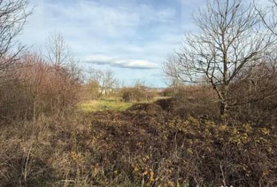 Teren de 6500 mp, în Zarand - 2