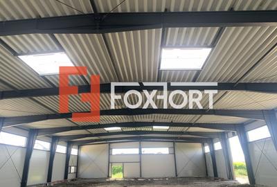 Hala de inchiriat cu platforma betonata de 1334 mp, zona Sanandrei - 1