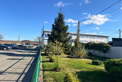 SERVICE AUTO Ultramodern (Business ultraprofitabil la cheie - 3