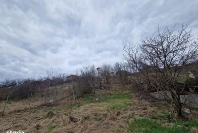 Teren de 584 mp, în Apahida - 2