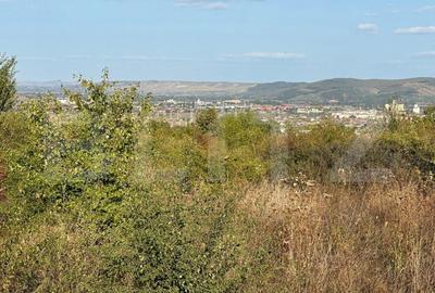 Teren intravilan, 510 mp, zona Nazareth Illit - 1