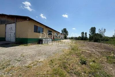 Vanzare complex industrial *hala 682 mp + teren 2,5 ha* - Tetila - 2