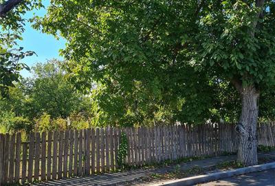 Casă cu 4 camere cu Teren 1578 Mp în Țăndărei - 7