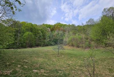 Teren superb, intravilan - la marginea padurii ! - 18