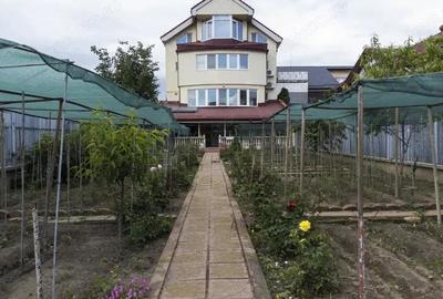 Casa versatila D+P+1+M pentru clinica, birouri sau afterschoolzona centrala - 9