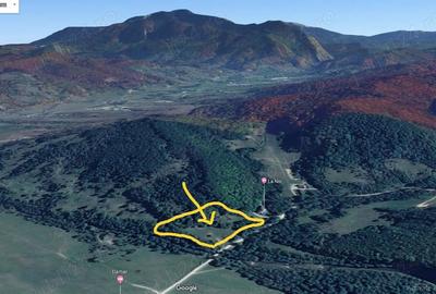 Teren de 10000 mp, în Glăjărie - 4