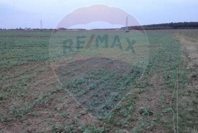 Teren de 9405 mp, în Balotești