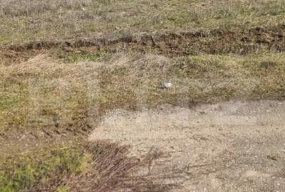 Teren în Lipănești - 2