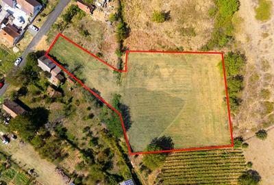 Mini?- destina?ia ideala pentru o resedin?a de lux ?... - 5