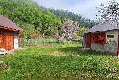 Casă cu 4 camere cu Teren 2727 Mp în Central - 4