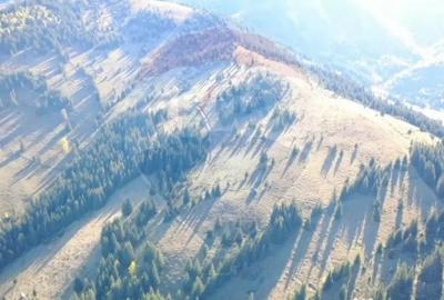 Teren de 47732 mp, în Panaci - 9