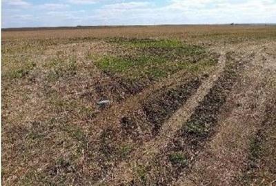 Teren extravilan cota parte 1/2 Alexandria, ID: R2814838 - 2