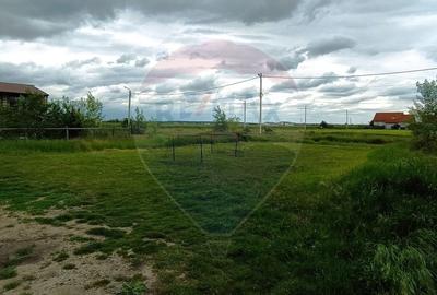 Teren 601mp Balotesti / Strada Morarilor - 5