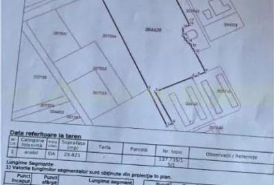 Pecica, jud Arad, 6ha teren de vanzare Pecica, jud Arad, 6ha teren de vanzare - 7