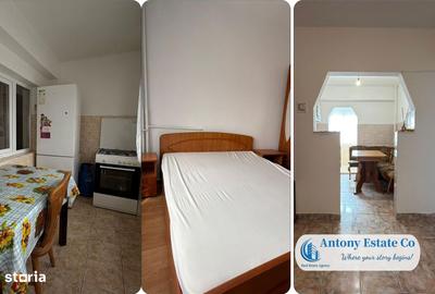 Apartament cu 2 camere decomandat în Nufărul - 10