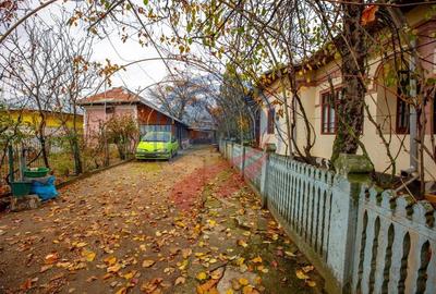 Casă cu 4 camere cu Teren 1606 Mp în Leu - 2