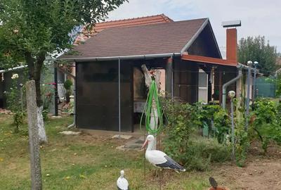 Casă cu 2 camere cu Teren 701 Mp în Central - 1