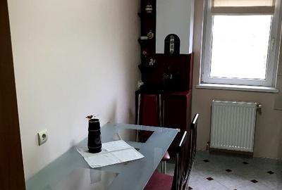 Apartament 2 camere Muzeul Apei - 3
