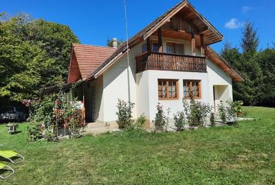 Casa de vacan?a cabana de vanatoare la Soveja, jud. Vrancea - 6