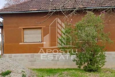 Casă cu 4 camere cu Teren 1079 Mp în Vârfurile - 9