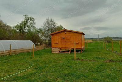 Teren de 16800 mp, în Sibiel - 8