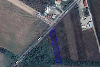 RECO teren intravilan tileagd - 1