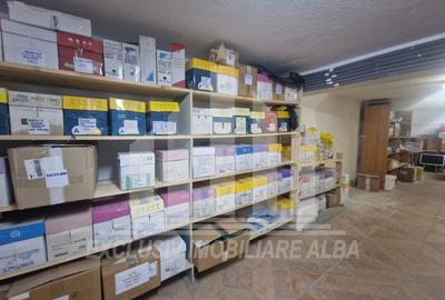 Spațiu comercial, de 400 mp, în Cetate - 10
