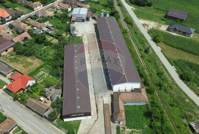 Spa?iu industrial de vanzare in Sangeorgiu de Padure... - 14