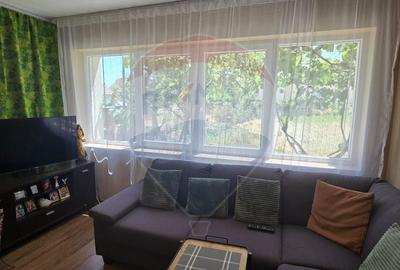 Casa de Vis la Macea - Complet Renovata si Gata de Locuit! - 12