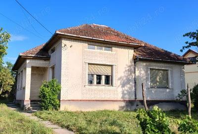 Casă cu 3 camere cu Teren 4123 Mp în Viile Satu Mare - 5