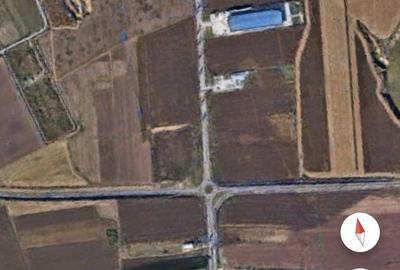 Teren de 12500 mp, în Nicolae Bălcescu - 12