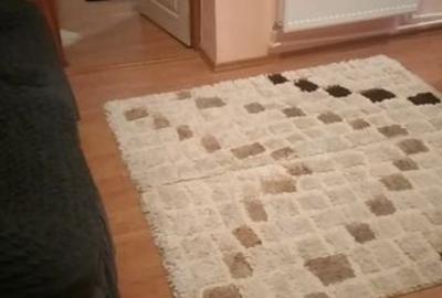 Apartament cu 2 camere semidecomandat în Trivale - 5