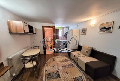 Casa pet friendly in Plopilor - 8