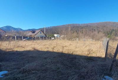 Spațiu comercial, în Timișu de Jos - 3