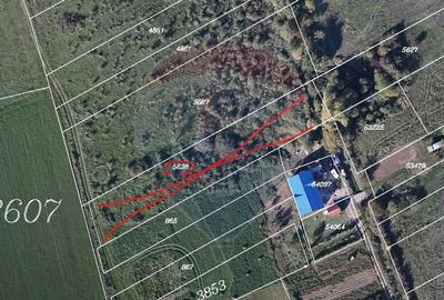 Teren 2464 mp, Sanmartin, proximitate Str. Nufarului, front 21,35 m - 4