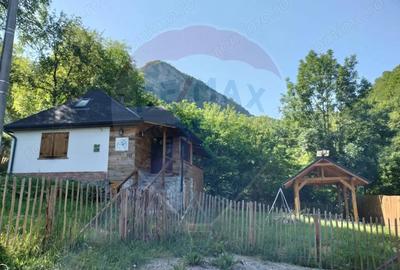 Casă cu 2 camere cu Teren 645 Mp în Sub Piatră - 18