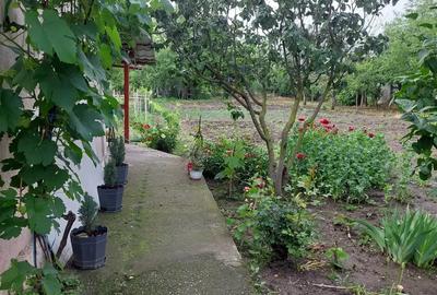 Vand casa la ?ara, Rasmire?ti Teleorman 46000e - 8