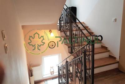 Vila Șelimbăr - 700 mp teren, jacuzzi, semineu, front stradal 30 ml - 22
