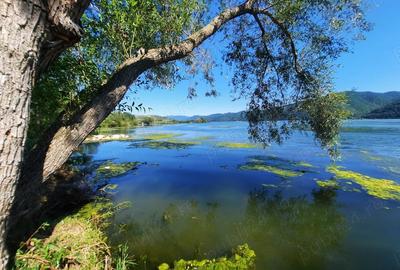 Teren de 1000 mp, în Berzasca - 7
