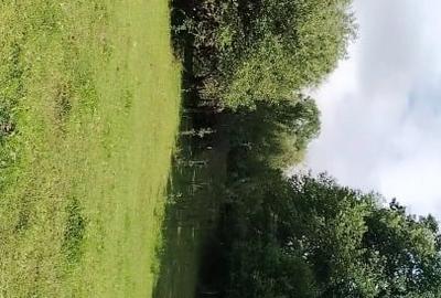 Teren extravilan de 7104 mp, în Șișești - 4