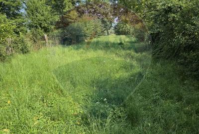 Casă cu 4 camere cu Teren 1105 Mp în Câmpulung la Tisa - 1