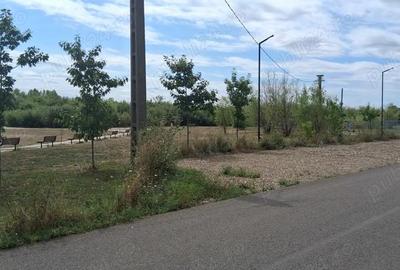 Teren 800 mp zona linistita - 4